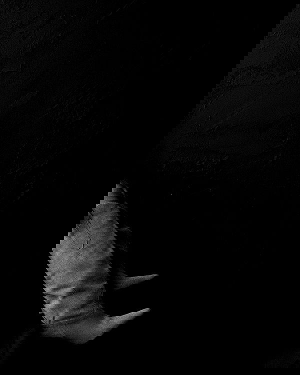 sagi.photo sagi.photo archive image