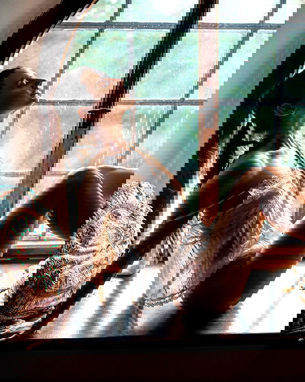 sagi.photo sagi.photo archive image