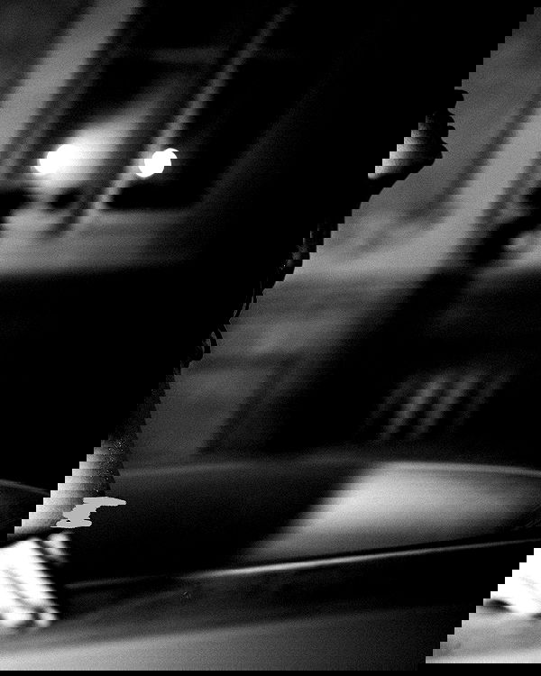 sagi.photo sagi.photo archive image