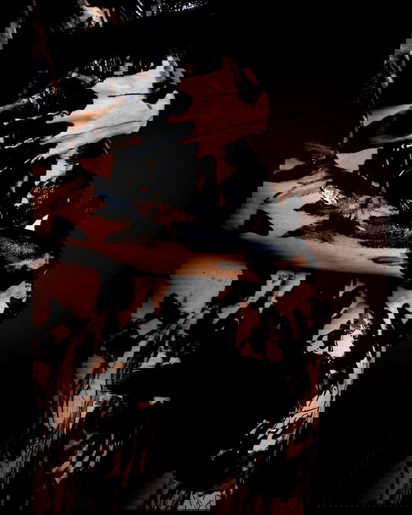 sagi.photo sagi.photo archive image