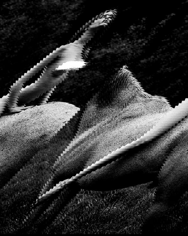 sagi.photo sagi.photo archive image