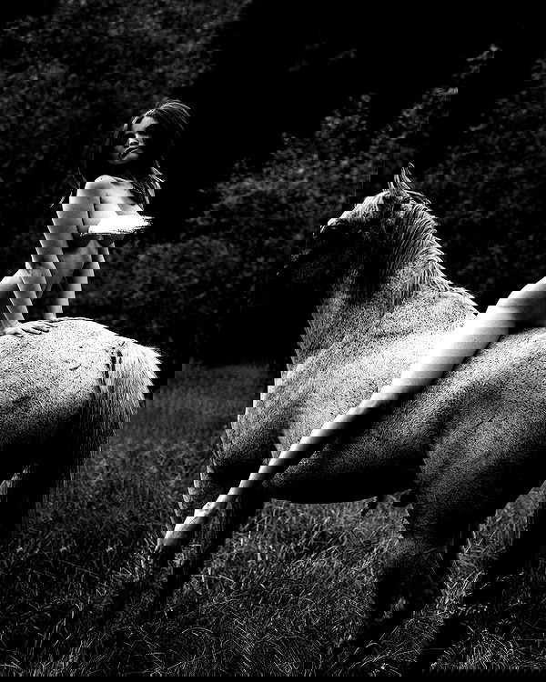 sagi.photo sagi.photo archive image