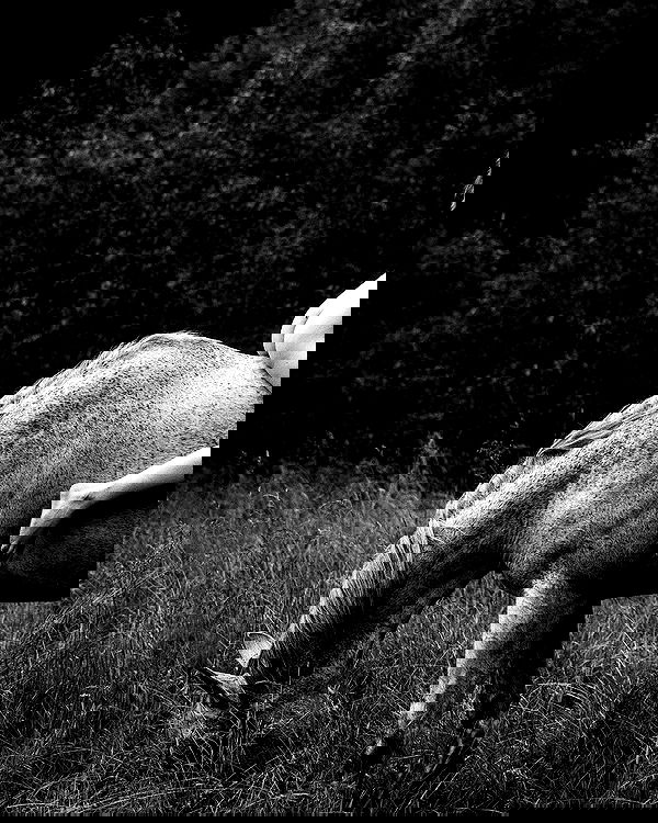 sagi.photo sagi.photo archive image