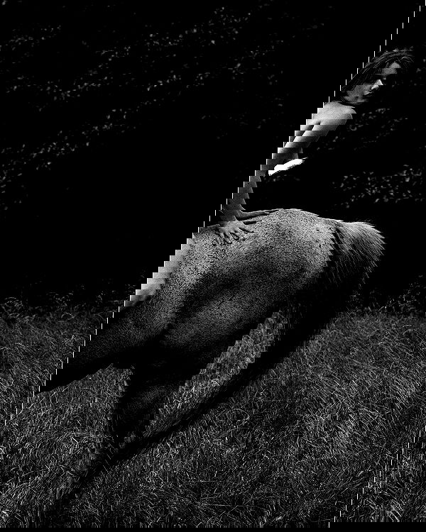 sagi.photo sagi.photo archive image