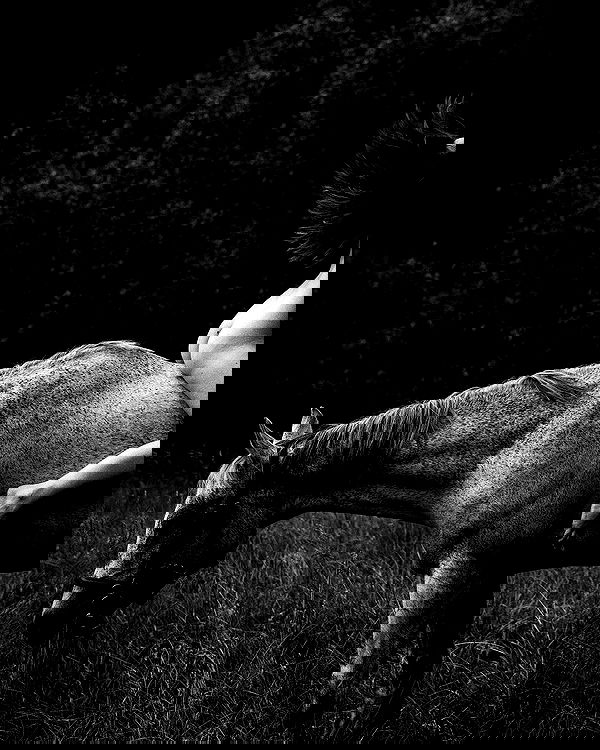 sagi.photo sagi.photo archive image