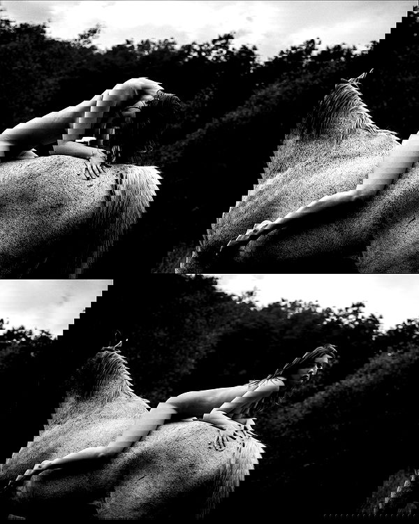 sagi.photo sagi.photo archive image