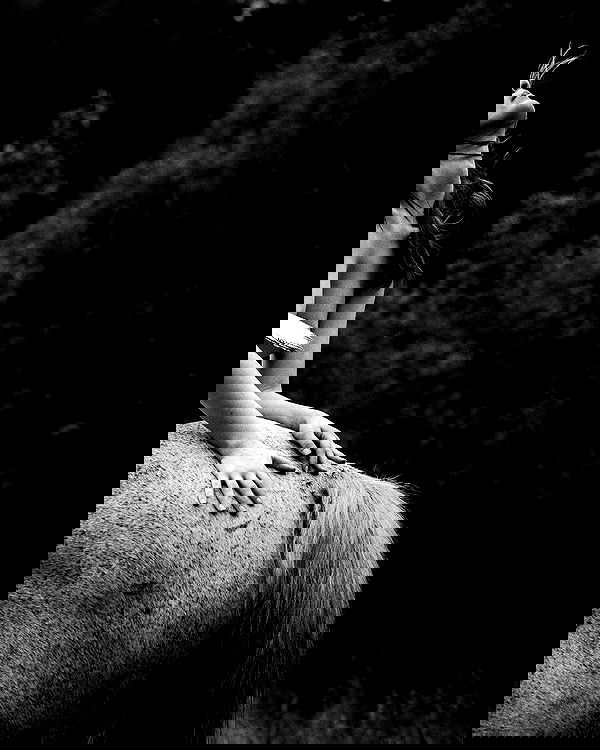 sagi.photo sagi.photo archive image