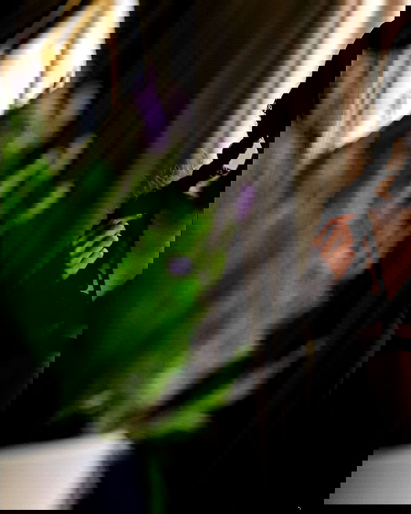 sagi.photo sagi.photo archive image