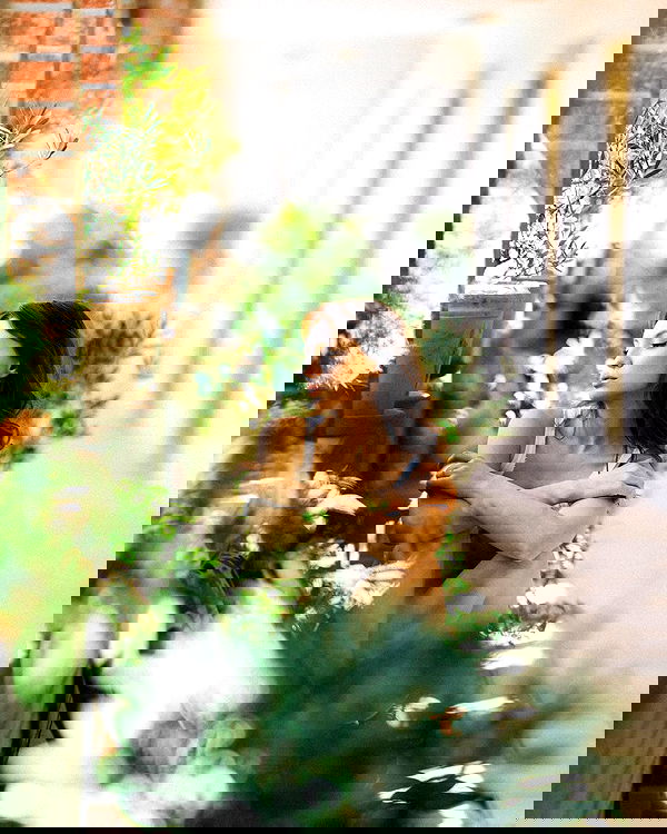 sagi.photo sagi.photo archive image