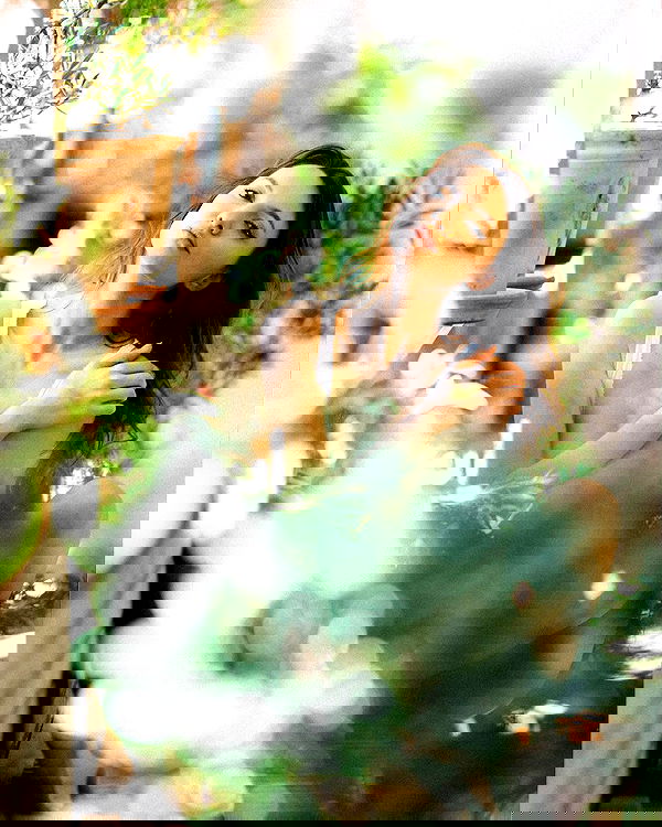 sagi.photo sagi.photo archive image