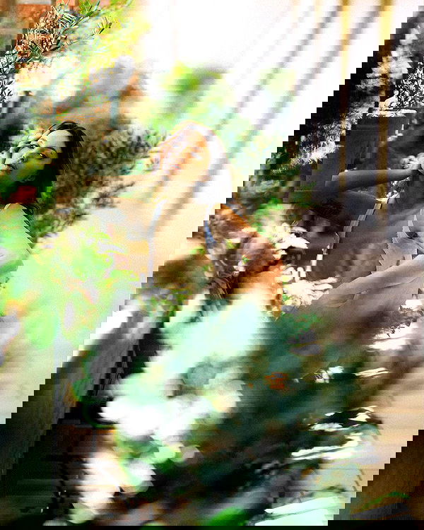 sagi.photo sagi.photo archive image