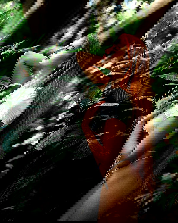 sagi.photo sagi.photo archive image