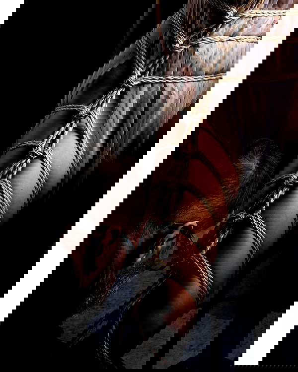 sagi.photo sagi.photo archive image