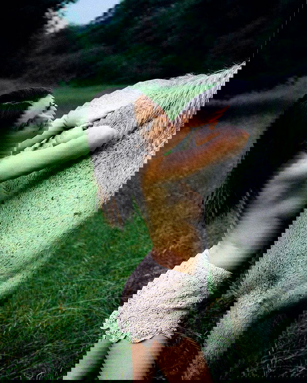 sagi.photo sagi.photo archive image