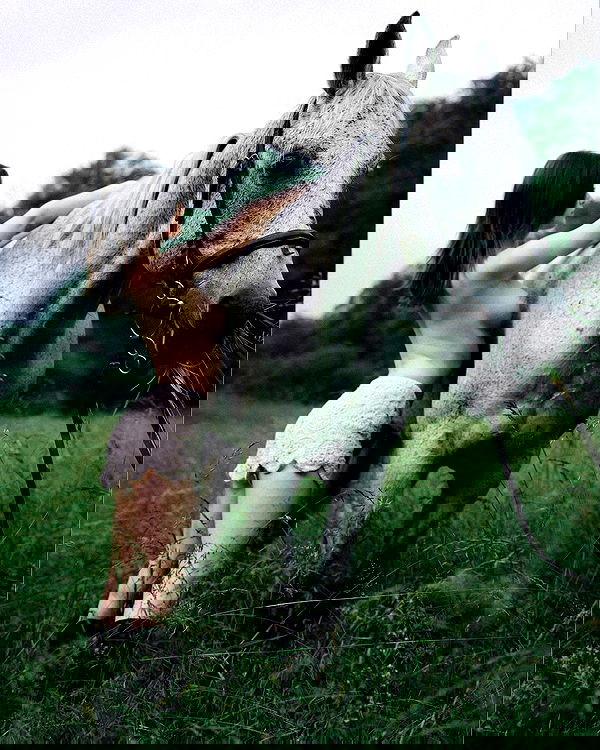 sagi.photo sagi.photo archive image