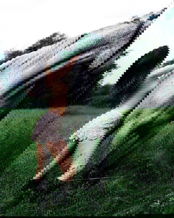 sagi.photo sagi.photo archive image