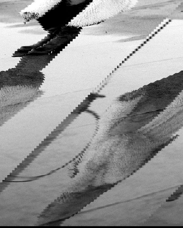 sagi.photo sagi.photo archive image