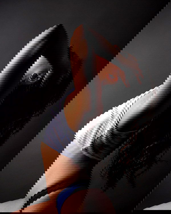 sagi.photo sagi.photo archive image