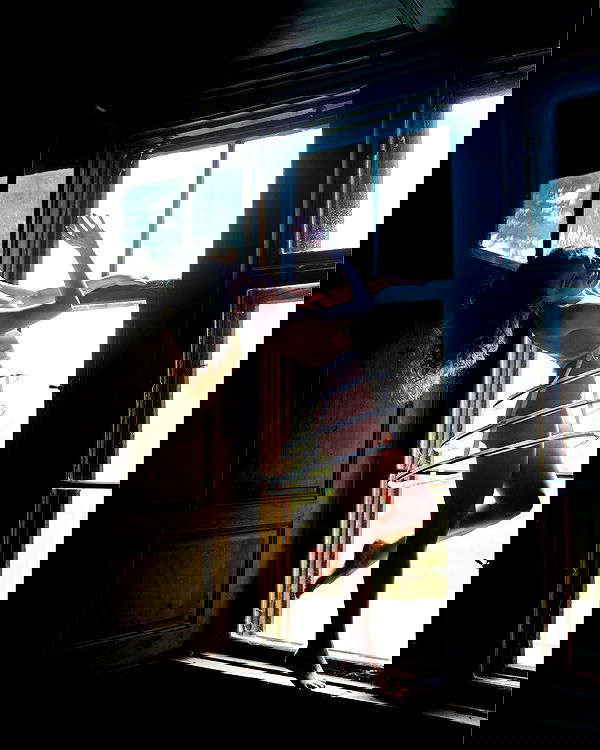 sagi.photo sagi.photo archive image