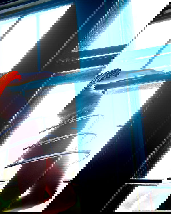 sagi.photo sagi.photo archive image