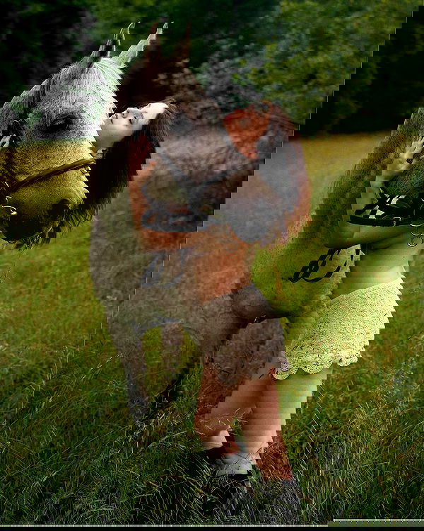 sagi.photo sagi.photo archive image