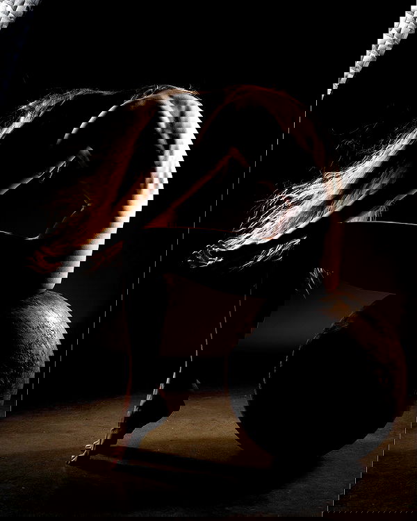 sagi.photo sagi.photo archive image