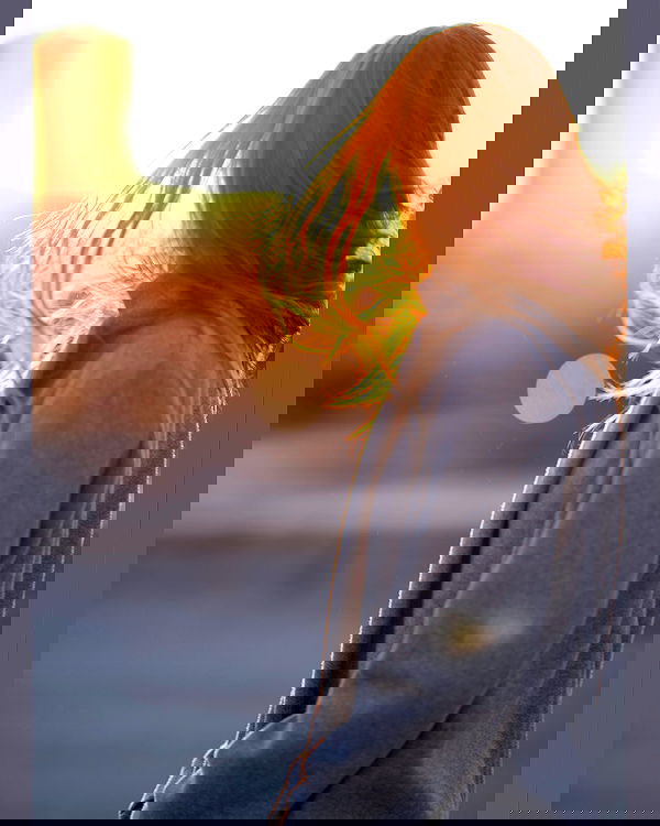 sagi.photo sagi.photo archive image