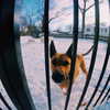 sam.circs Altpins Profile Picture