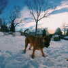 sam.circs Altpins Profile Picture