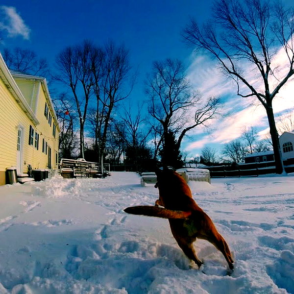 sam.circs instagram image archive image