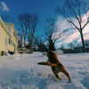 sam.circs Altpins Profile Picture