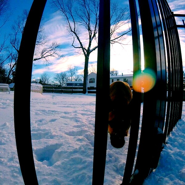 sam.circs instagram image archive image