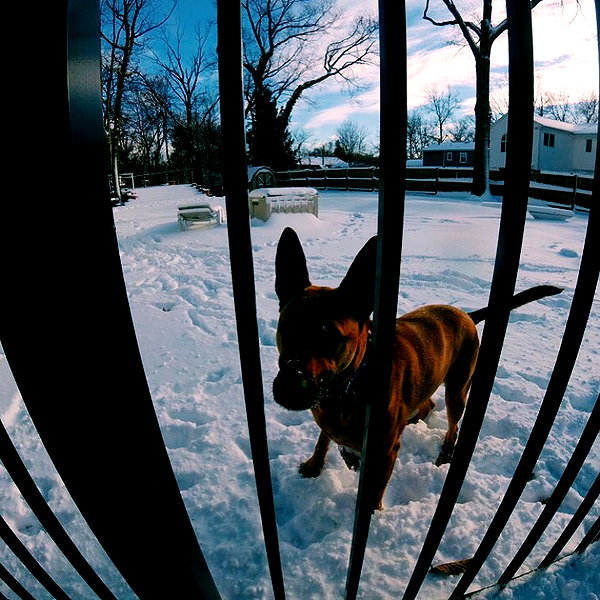 sam.circs instagram image archive image
