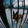 sam.circs Altpins Profile Picture
