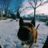 sam.circs Altpins Profile Picture