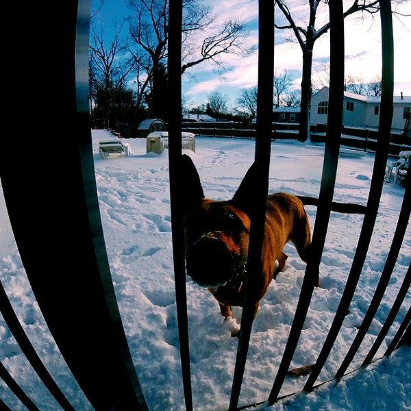 sam.circs instagram image archive image