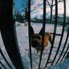 sam.circs Altpins Profile Picture