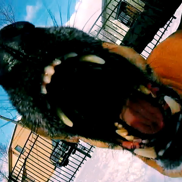 sam.circs instagram image archive image