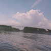 sandy_bar Altpins Profile Picture