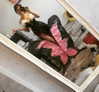 sapir_cosplay Altpins Profile Picture