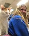 sarasaffari__ Altpins Profile Picture