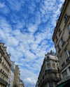 sarasaffari__ Altpins Profile Picture
