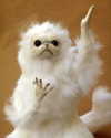 sarasaffari__ Altpins Profile Picture