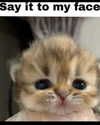 sarasaffari__ Altpins Profile Picture