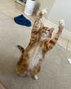 sarasaffari__ Altpins Profile Picture