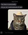 sarasaffari__ Altpins Profile Picture