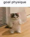 sarasaffari__ Altpins Profile Picture