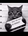 sarasaffari__ Altpins Profile Picture