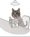 sarasaffari__ Altpins Profile Picture