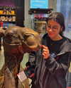 sarasaffari__ Altpins Profile Picture